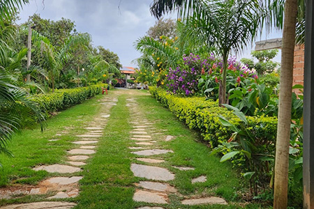 Centro Terapêutico Baldim