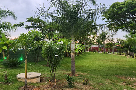 Centro Terapêutico Baldim