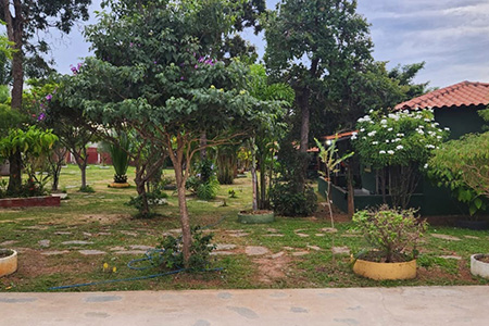 Centro Terapêutico Baldim